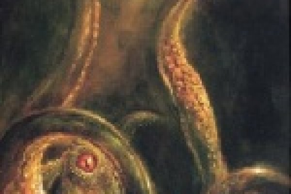 Где взять ссылку на кракен